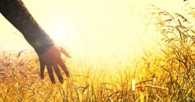 Coping with Touch Deprivation image