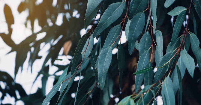 Relationship Counselling: Strengthen Your Connection and Rebuild Trust